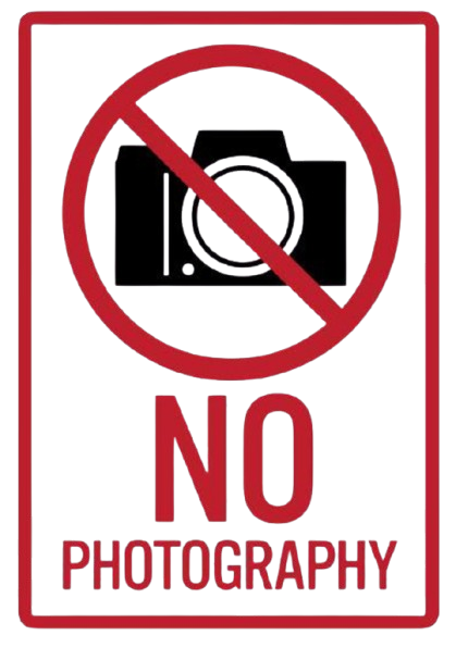 This Is the Real Trophy': Athiya Shetty Flaunts Baby Bump in Garden Photoshoot